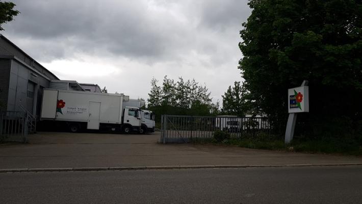 Krah + Simon GmbH Schnittblumen Import