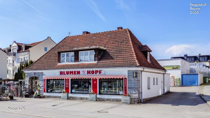 Gienger Wilhelm KG Fachgroßhandel für Haustechnik