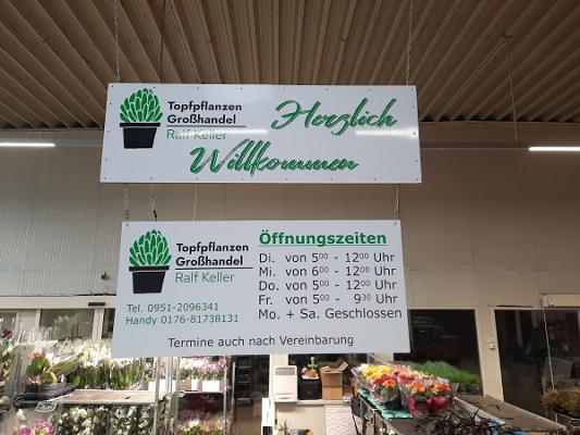 Topfpflanzen Großhandel Ralf Keller