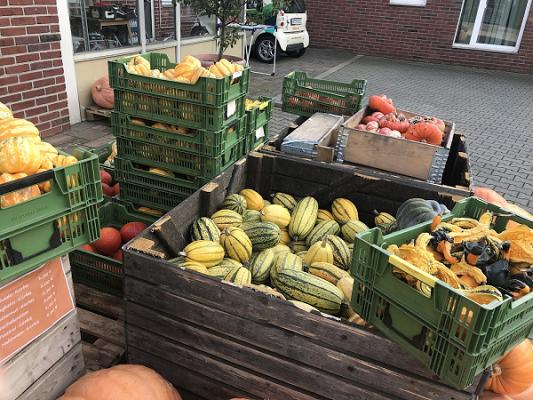 Dorothea Humpesch Möhrenhandel