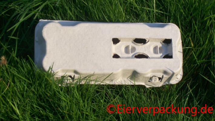 Hartmut Daub Eier-Nudeln-Frischgeflügel