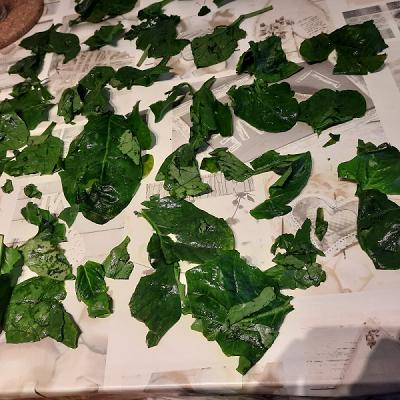 Verpackungstechnik & Dienstleistungs Geil GmbH