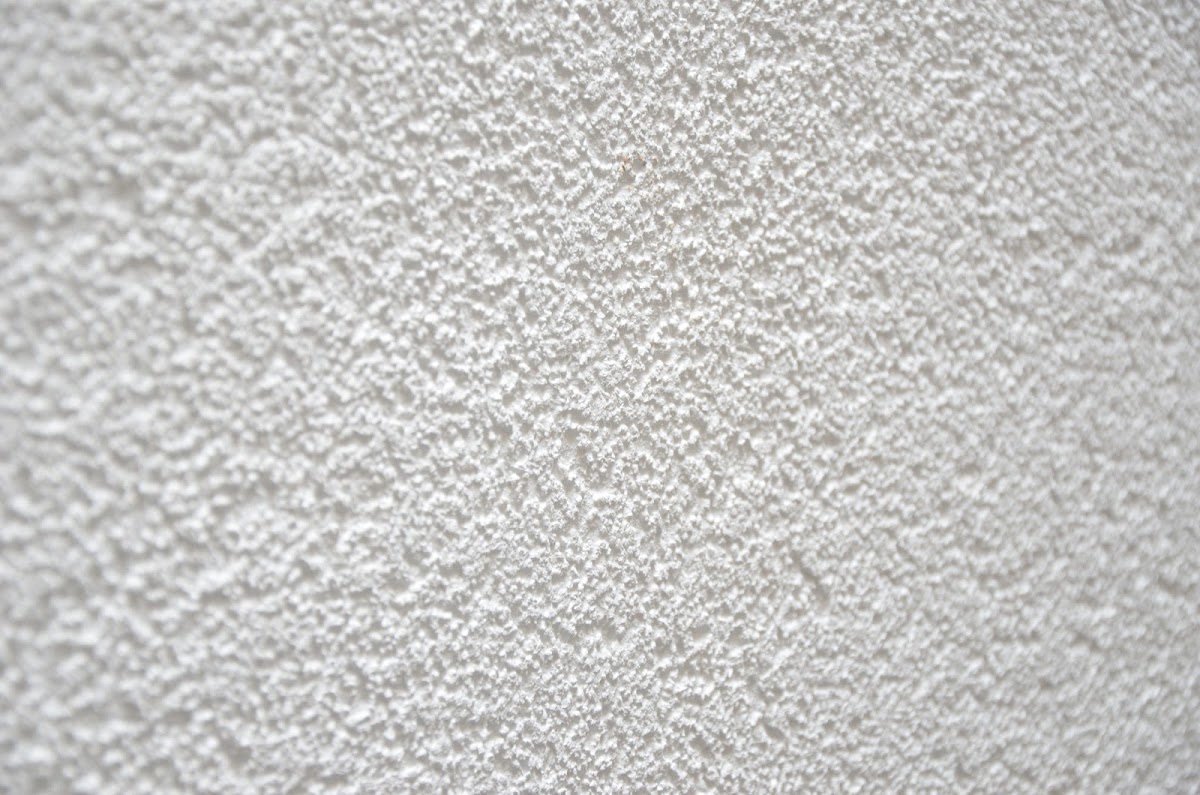 gp_69bcb19c2fdf5