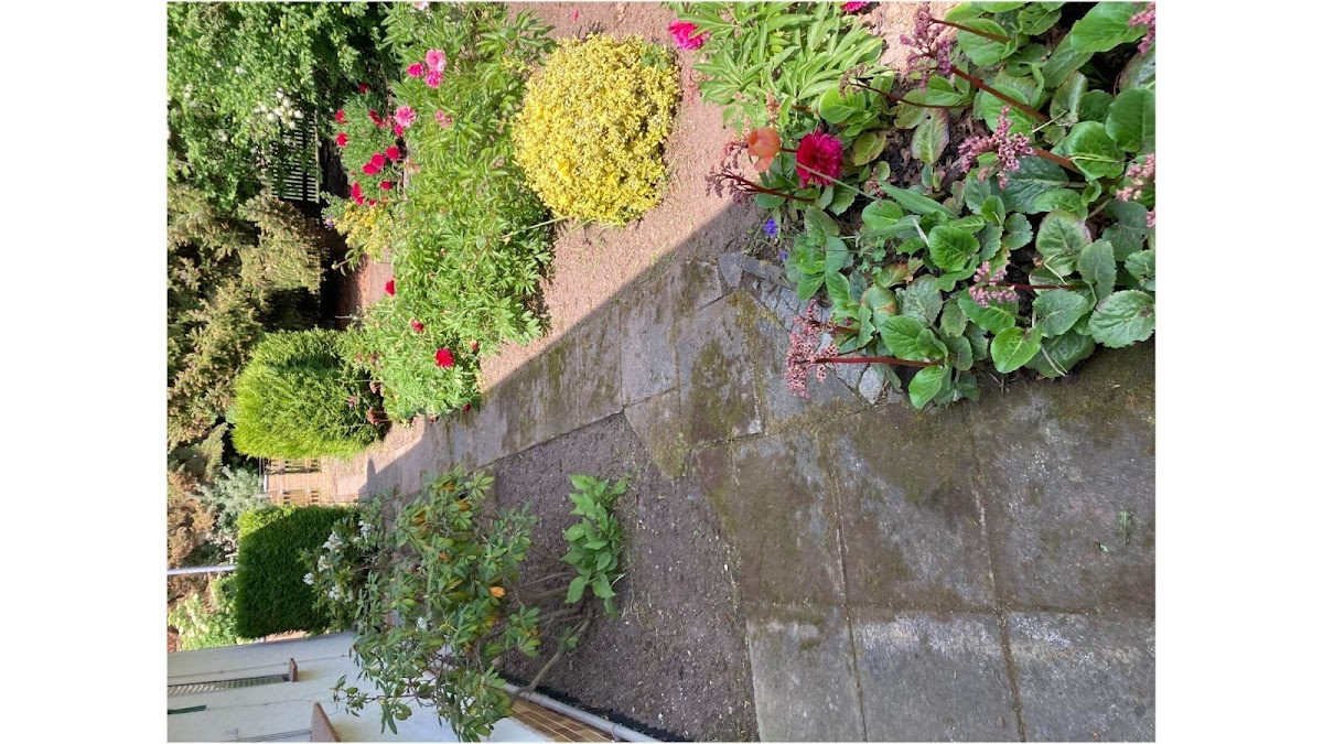 gp_69bcb286b7d9e
