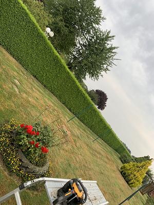 gp_69bcb2880b884
