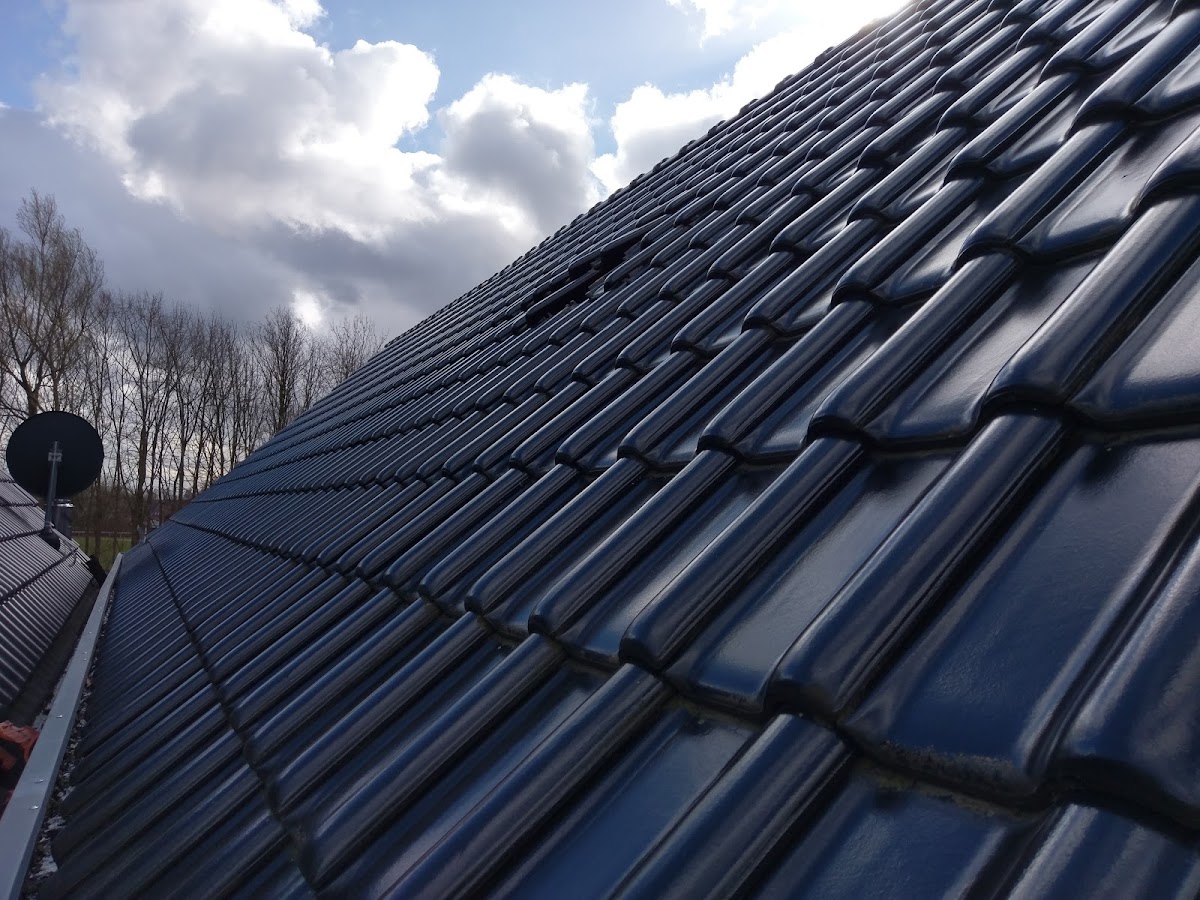 gp_69bcba1d8f4d0