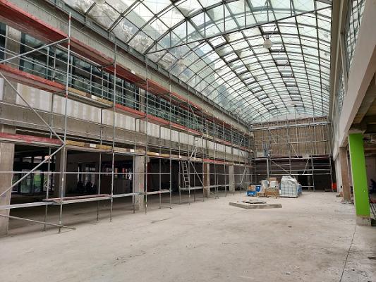 gp_69bcbdc162540