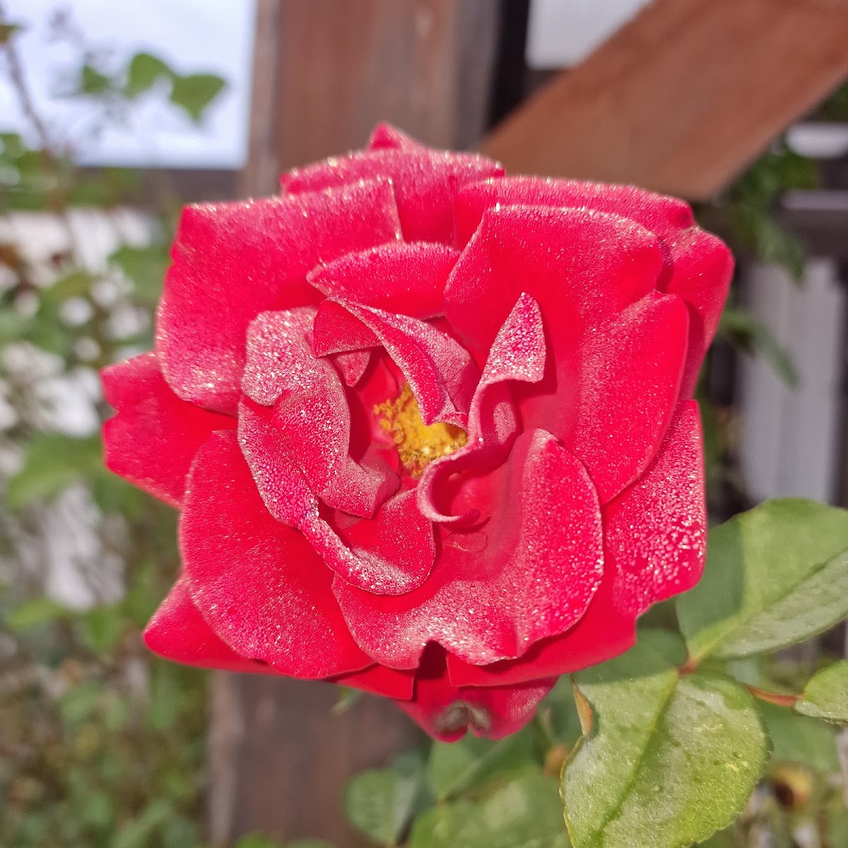 gp_69bcbf94b875f