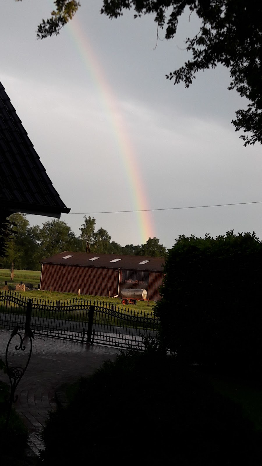 gp_69bcc5269b384