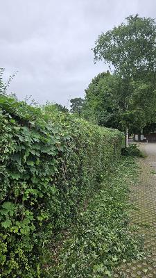 gp_69bcc741d972c