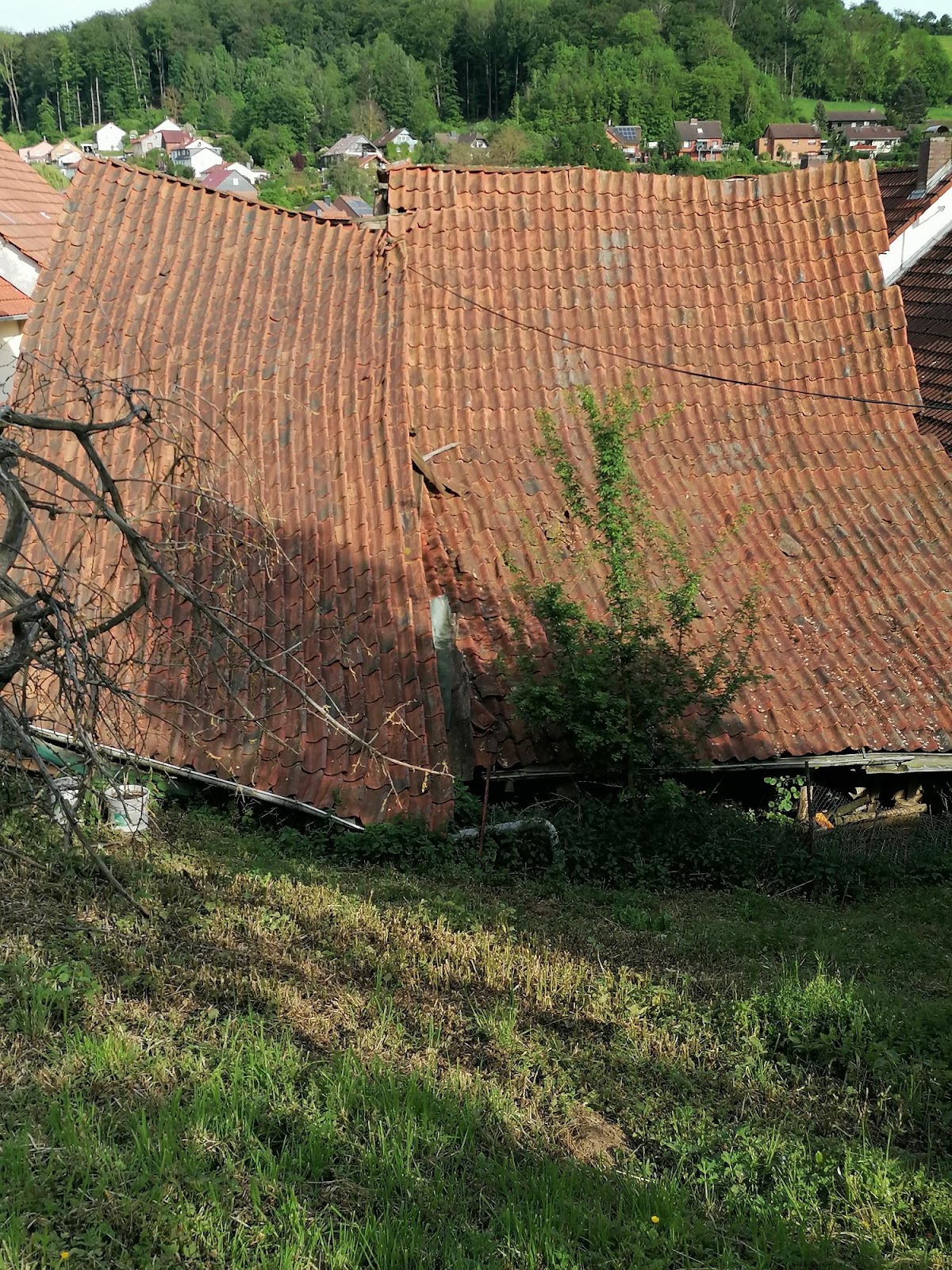 gp_69bccb92611e1
