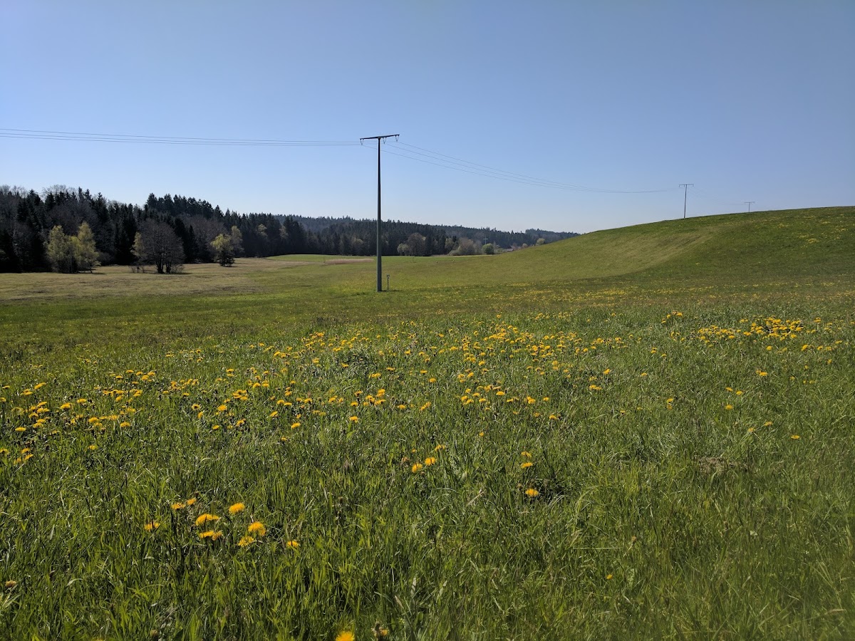 gp_69bc7ce073598