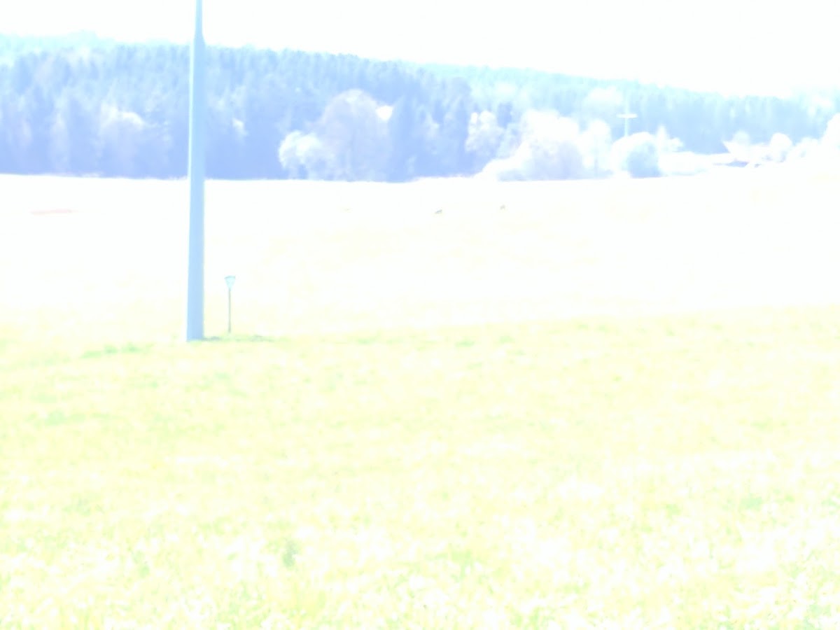 gp_69bc7ce0e23c9