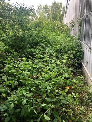 gp_69bcccb689836
