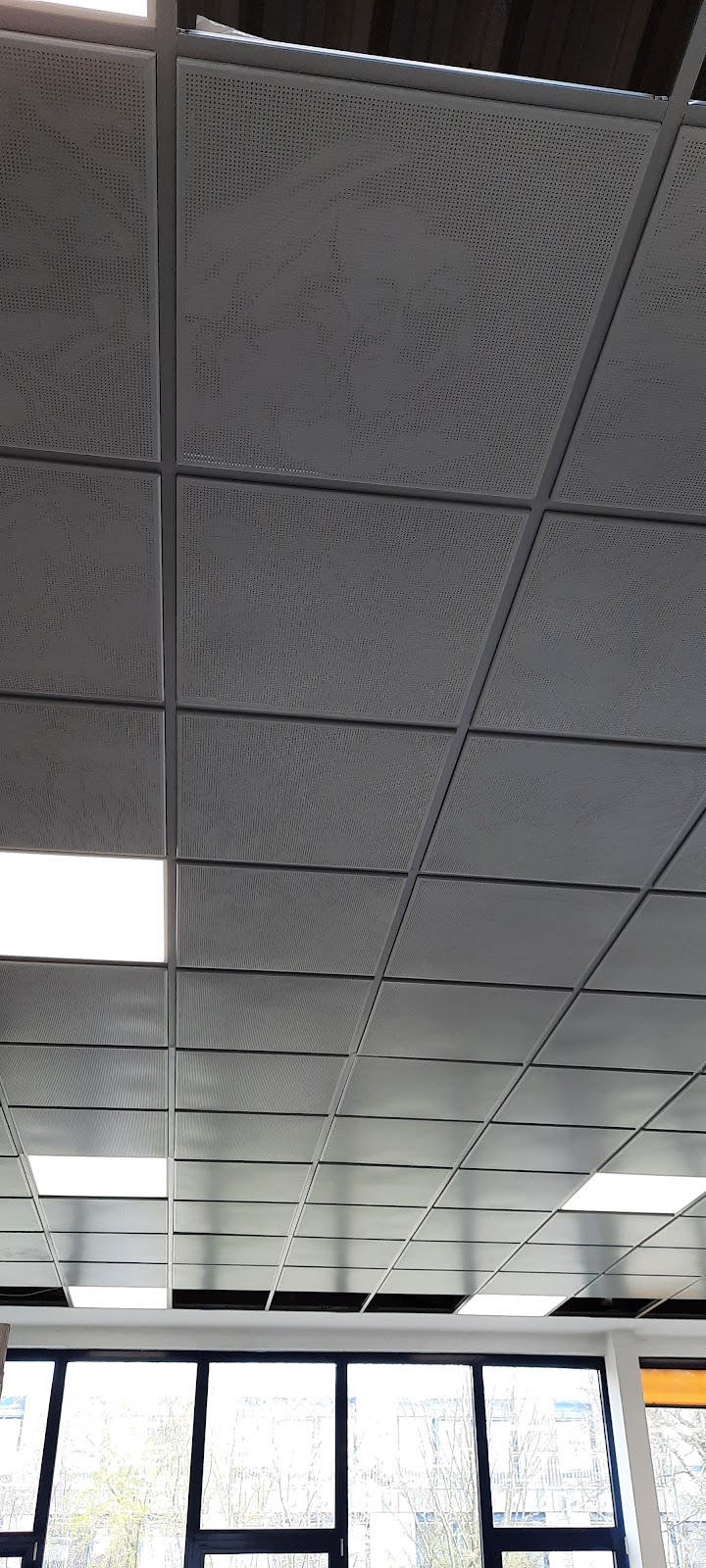 gp_69bccf7b98d88
