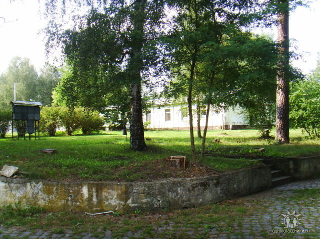 gp_69bcd20761439