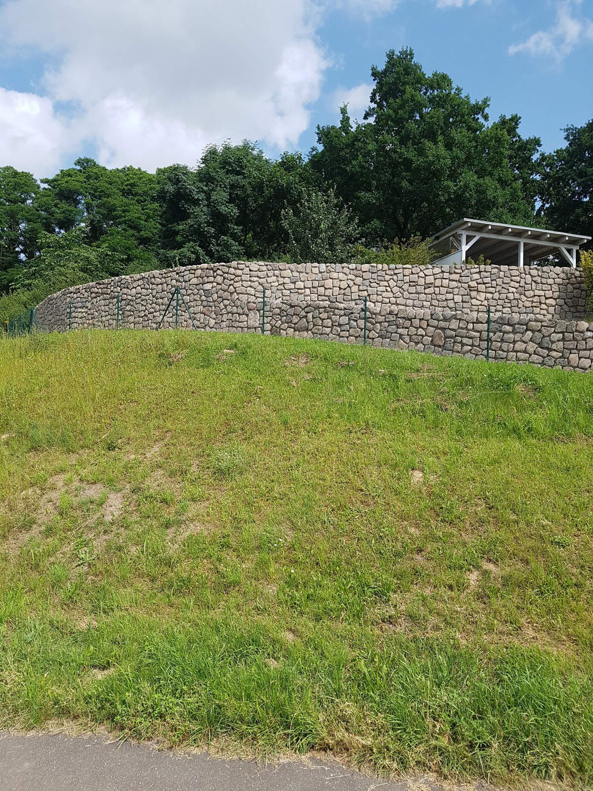 gp_69bc7d4d9cedf