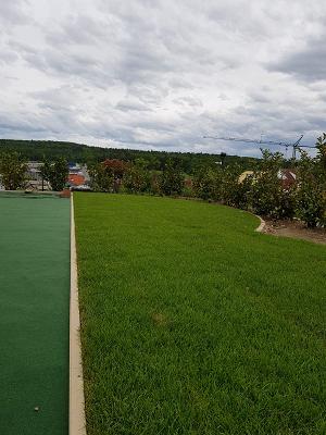 gp_69bcd68104257