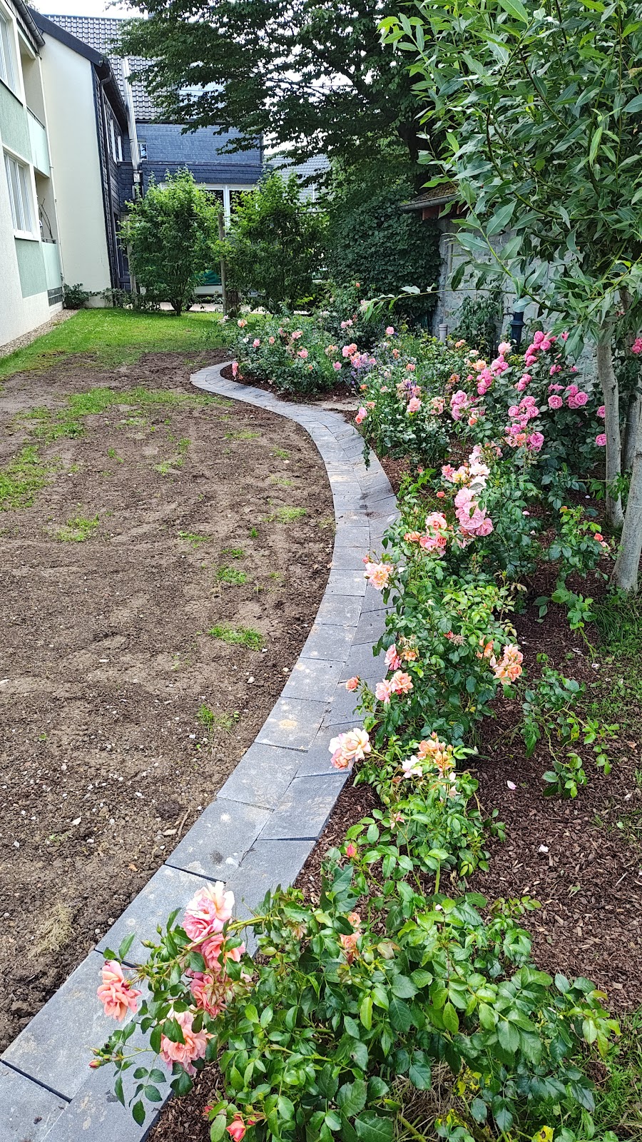 gp_69bc7d815181a