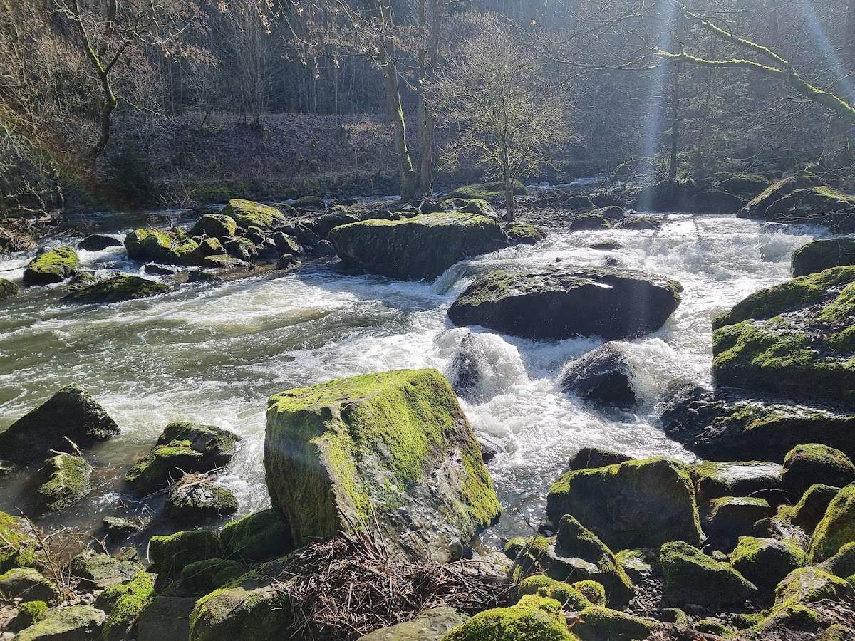 gp_69bcd6951eb60