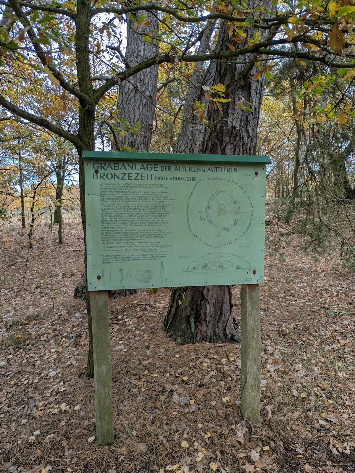 gp_69bcd708ce918