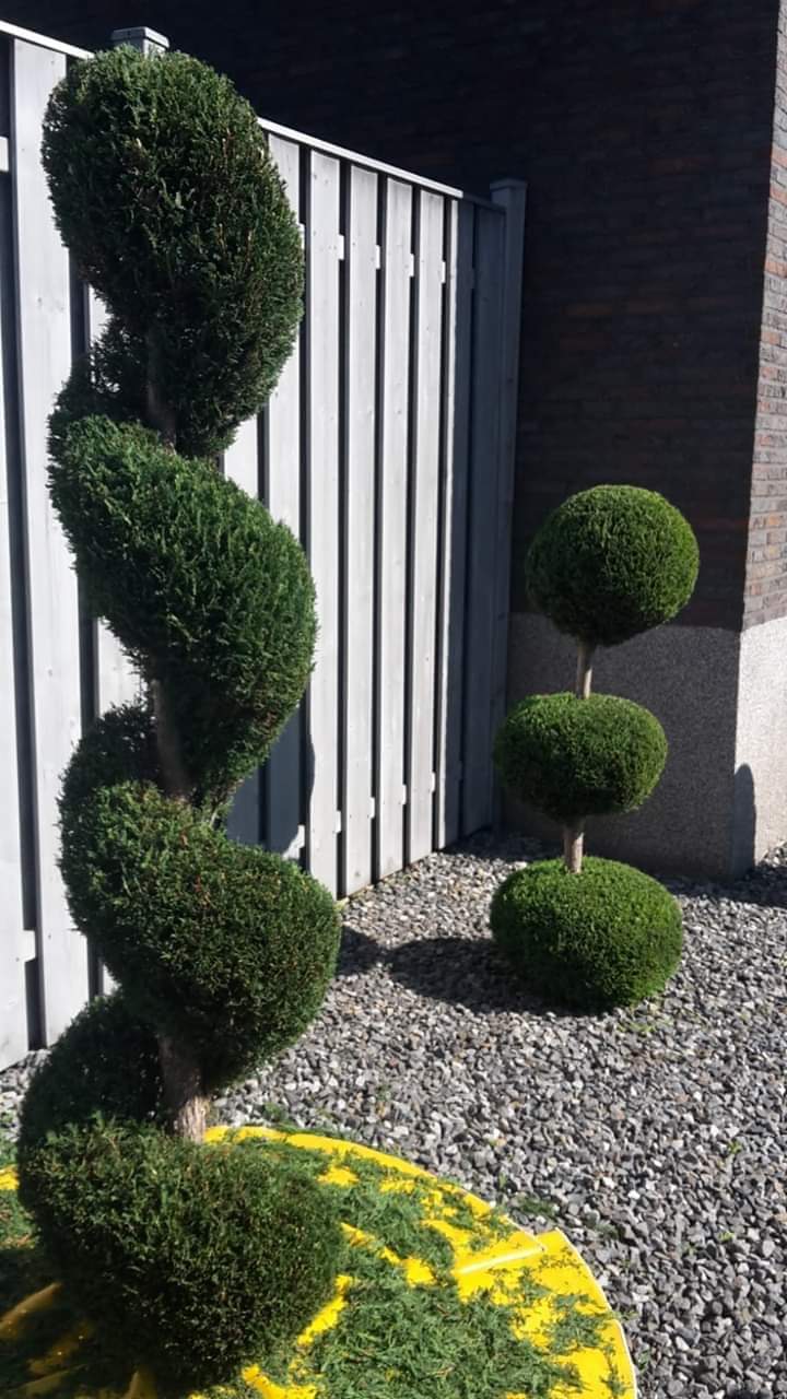 gp_69bcdc2c96e78
