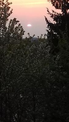 gp_69bc7f396fc2a