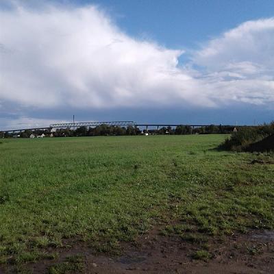 gp_69bc818c421b9