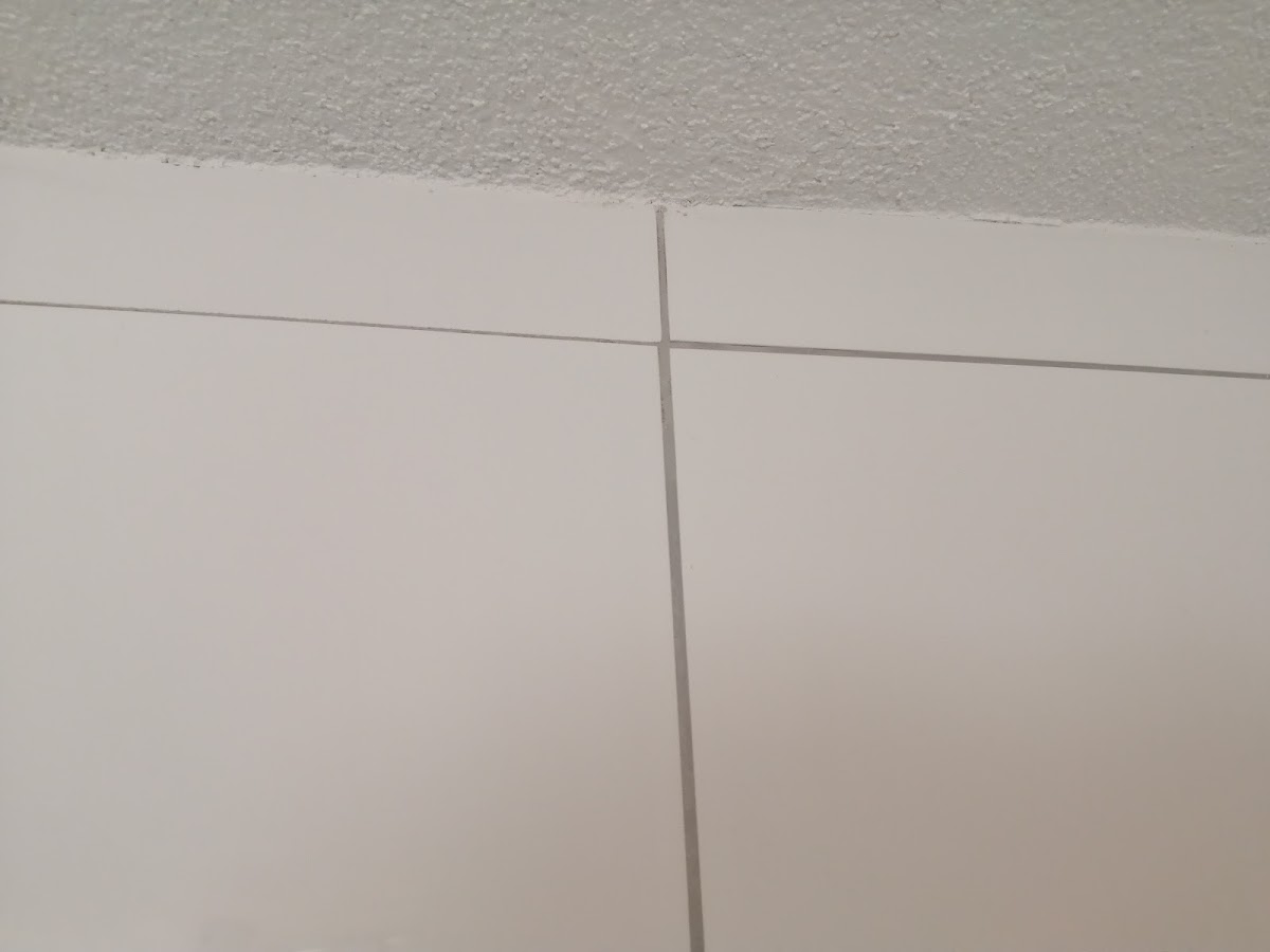 gp_69bc83cbf3473