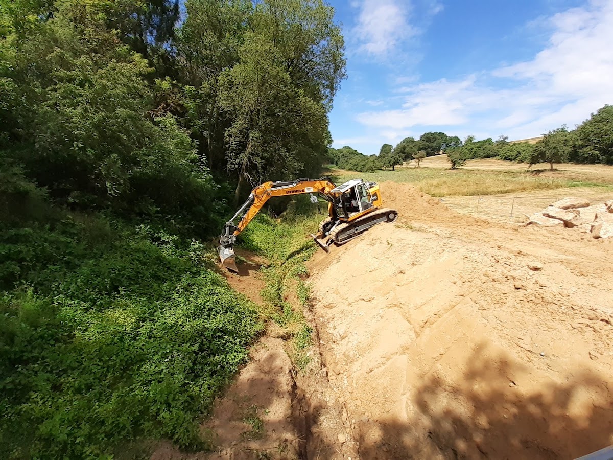 gp_69bc85f43c412