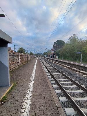 gp_69bc7762e6315