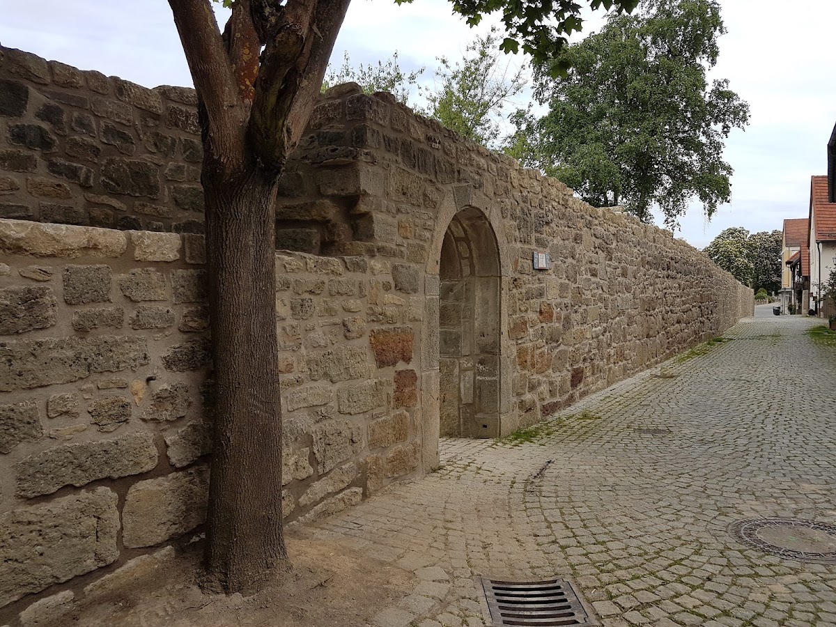 gp_69bc896861cfe