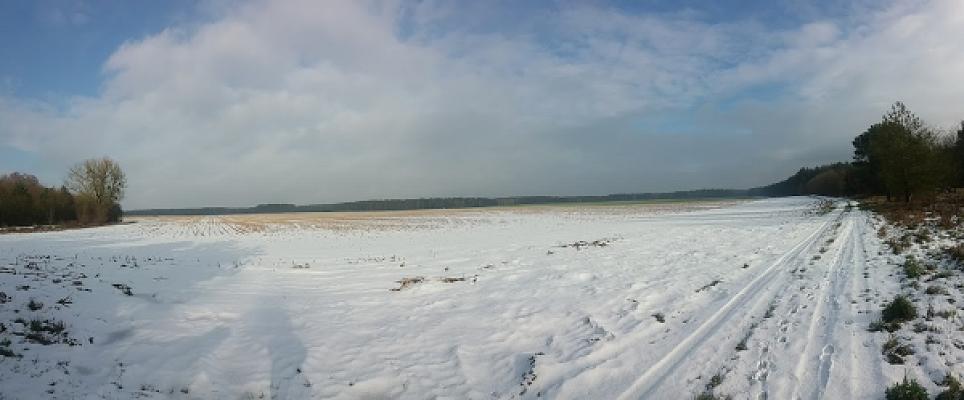 gp_69bc8afee11bf