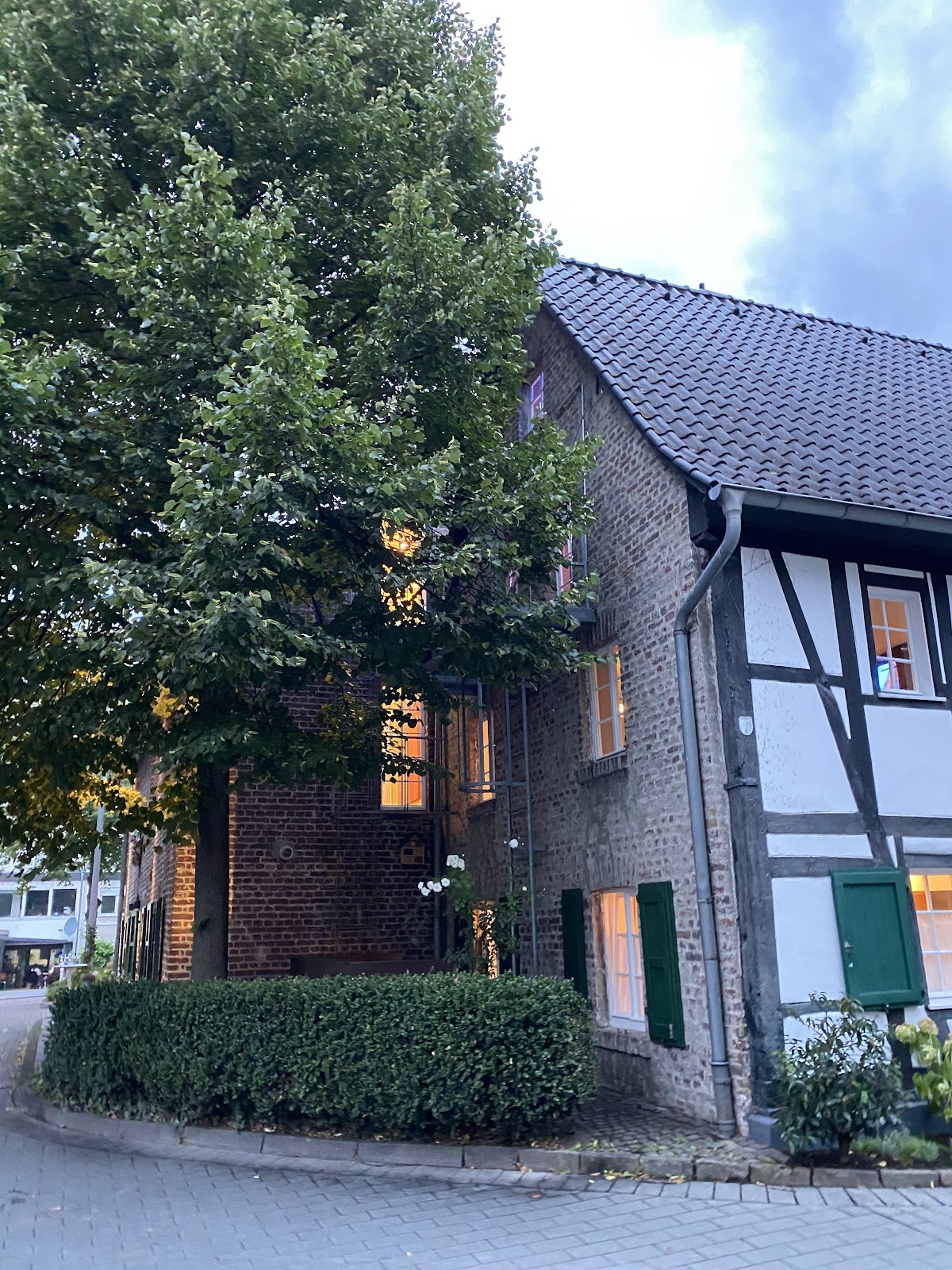 gp_69bc8cc6eeb46
