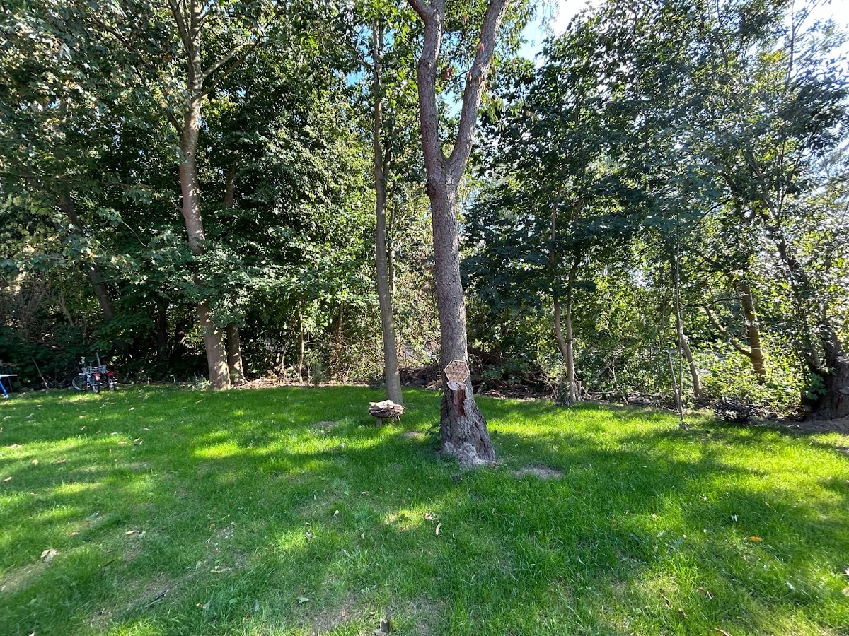 gp_69bc93c303859