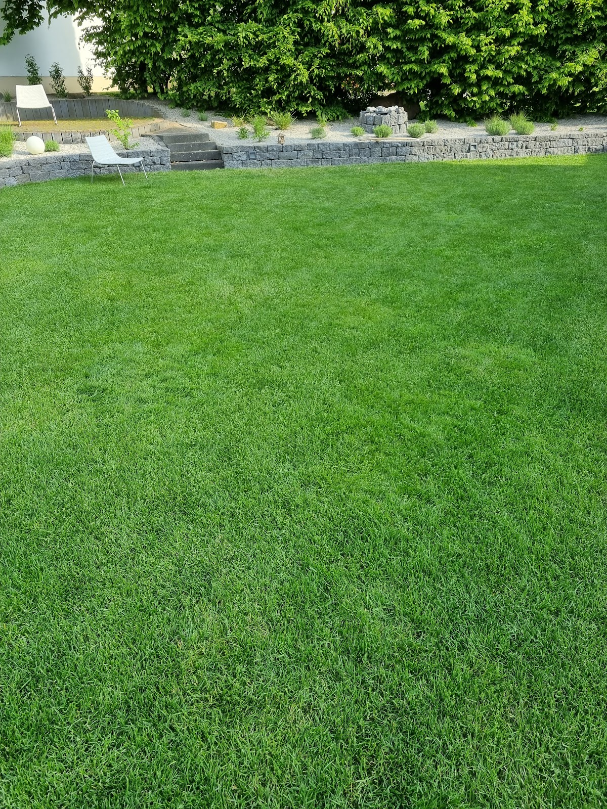 gp_69bc94499e9dd