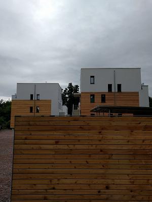 gp_69bc78a5d7bff