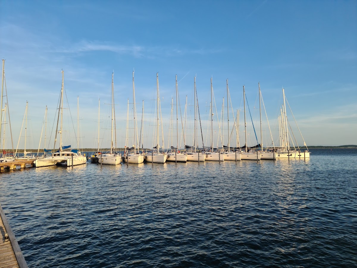 gp_69bc974d01f69