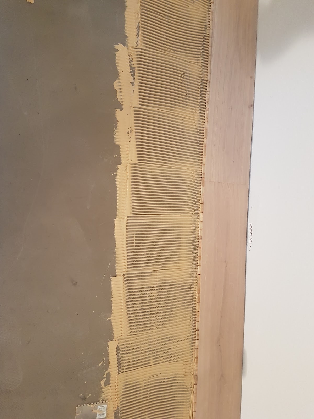gp_69bc9cc27370d