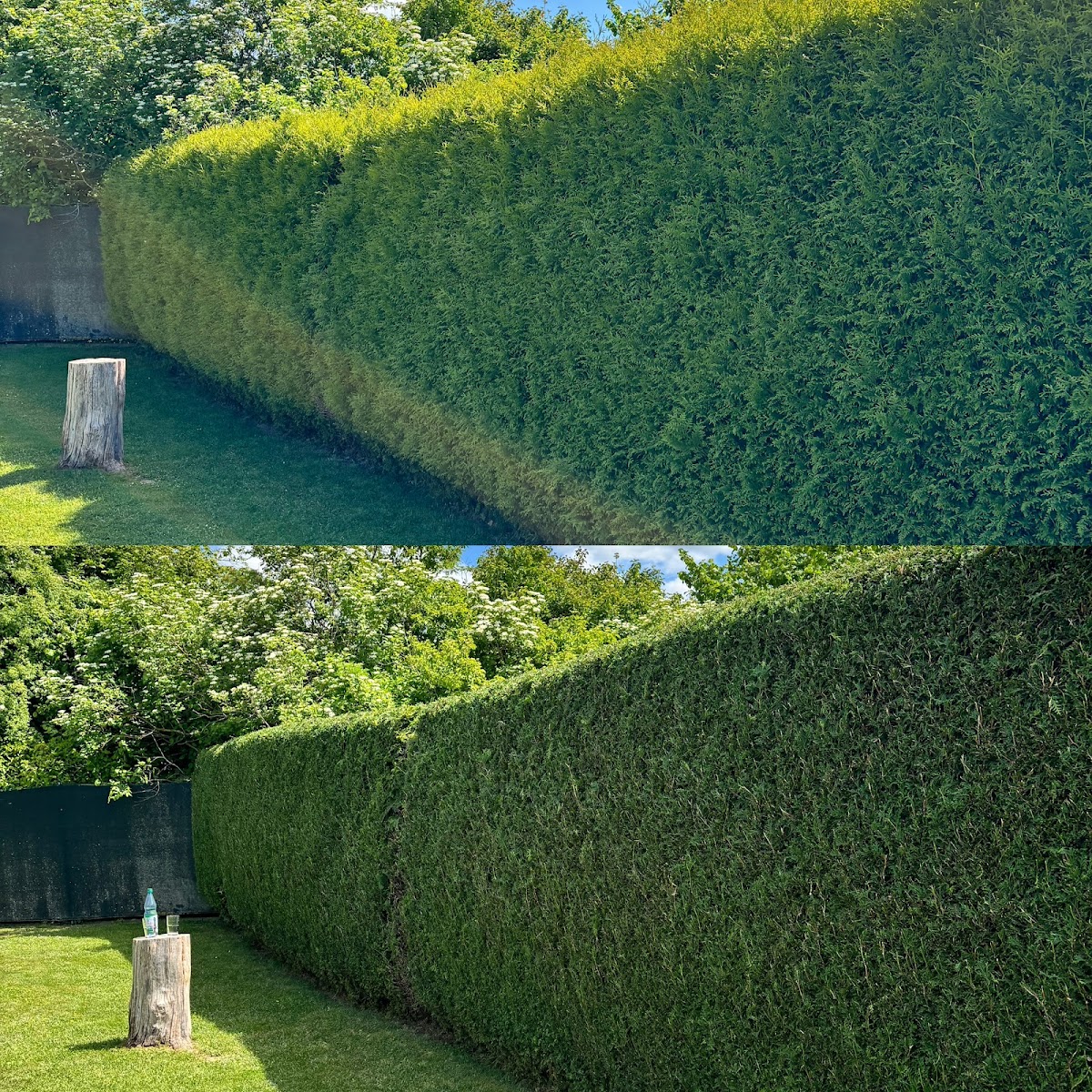 gp_69bca72e726e7