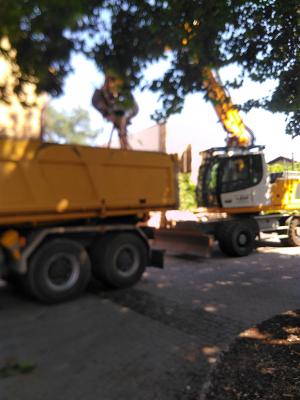 gp_69bca9e2ece4b