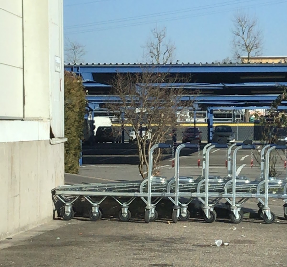 Selvi Tussen GmbH - Bild 7