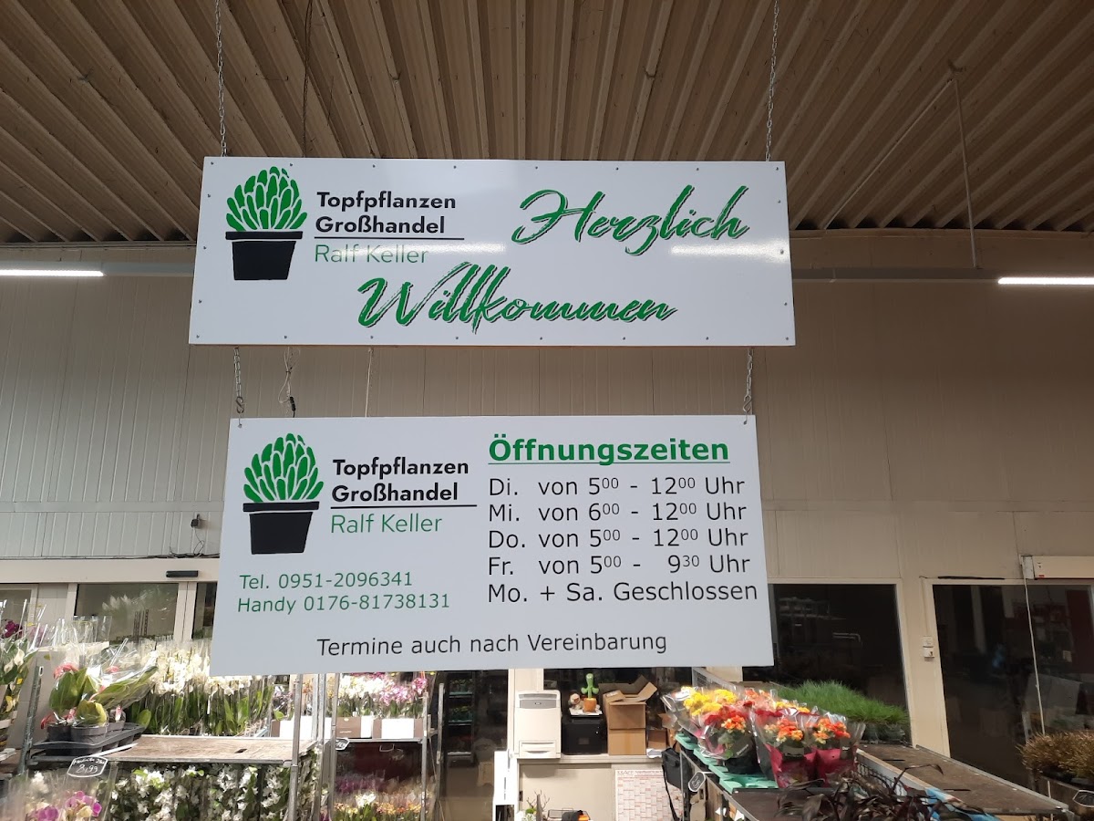 Topfpflanzen Großhandel Ralf Keller