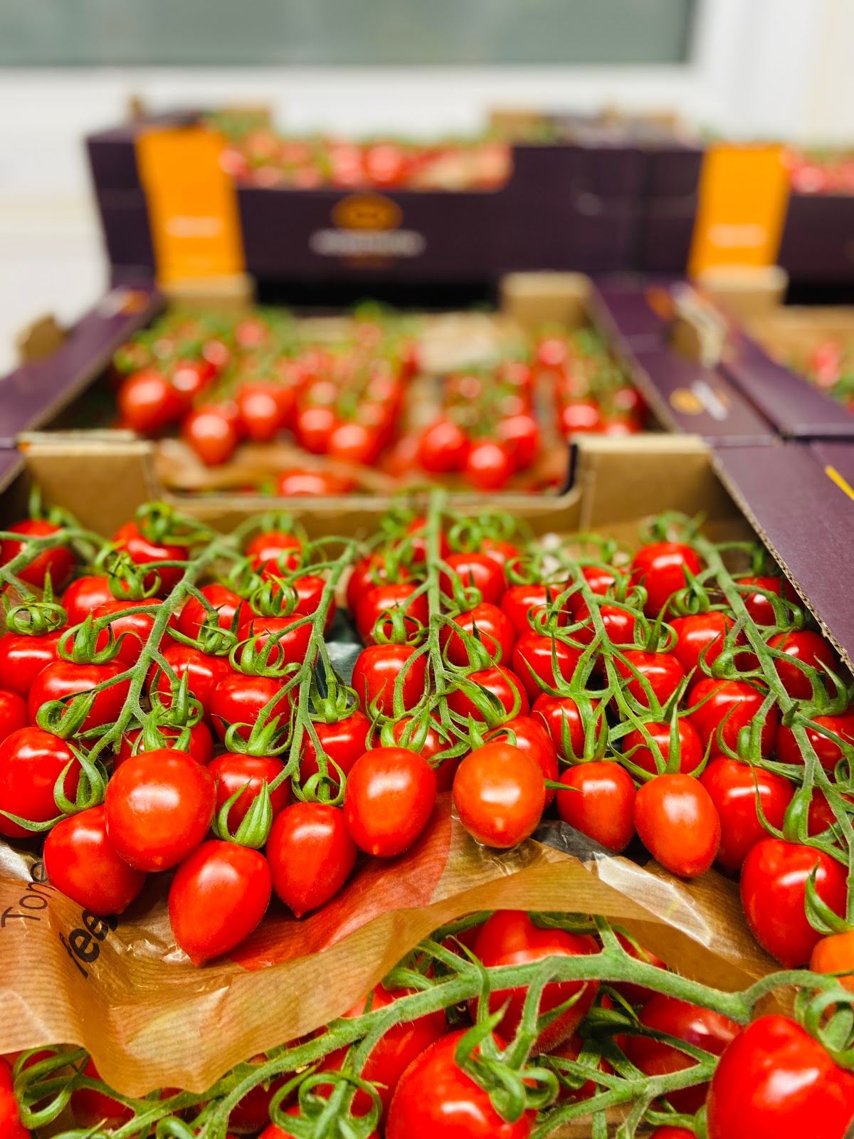 Pro'n fresh | Obst & Gemüse Großhandel Wiesbaden - Bild 3