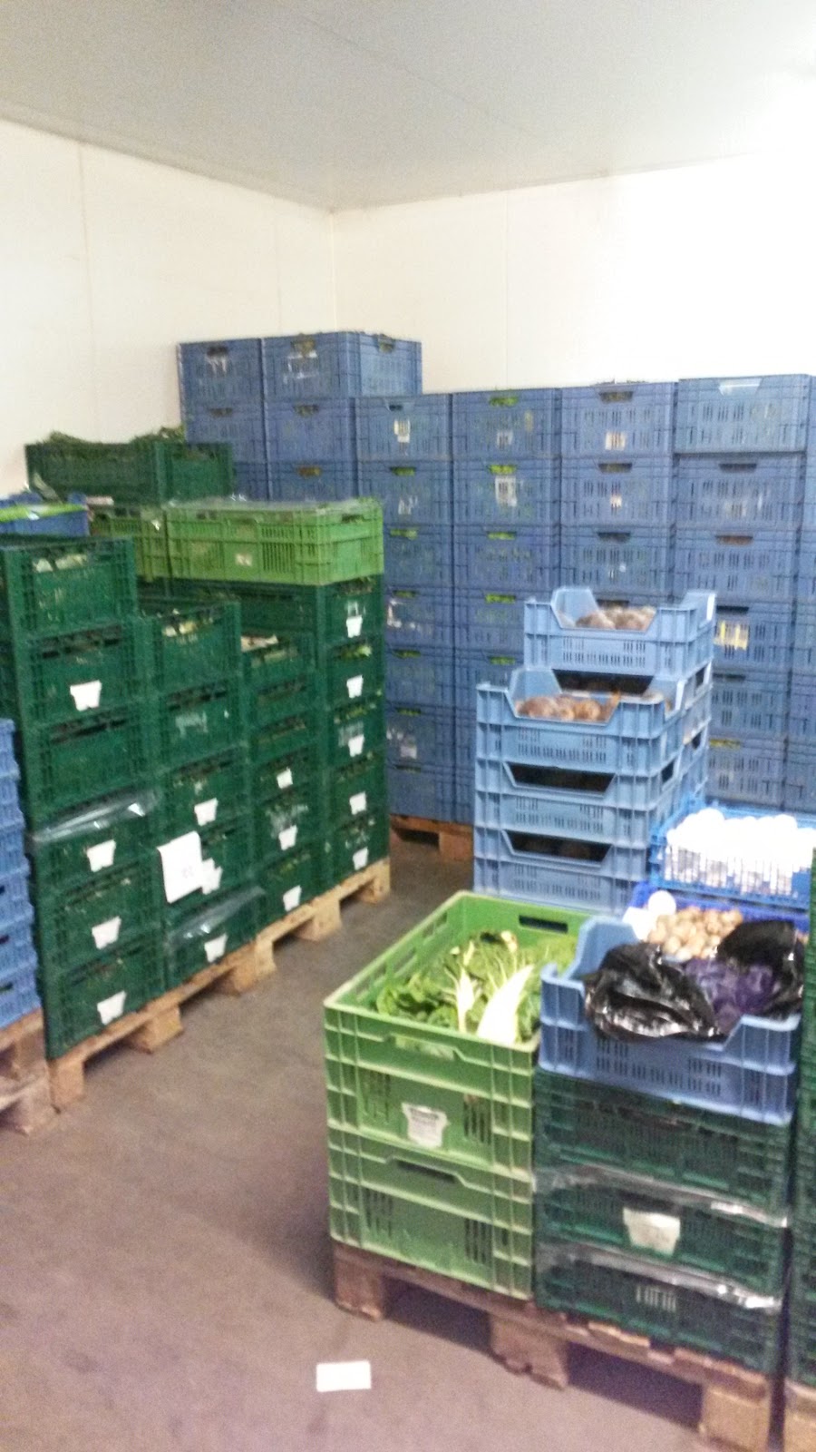 Großmarkthalle Bonn G B R - Bild 6