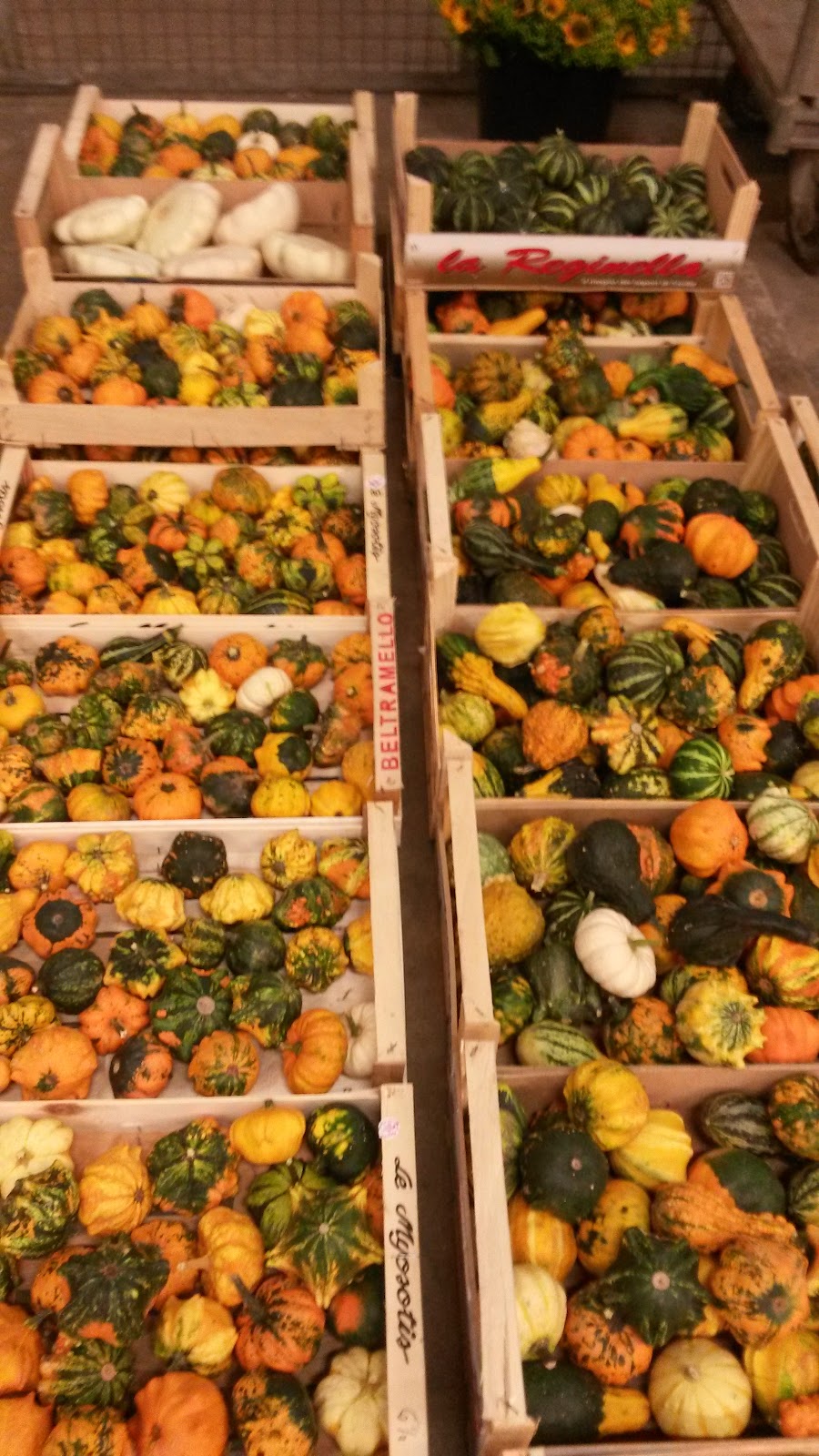 Großmarkthalle Bonn G B R - Bild 8