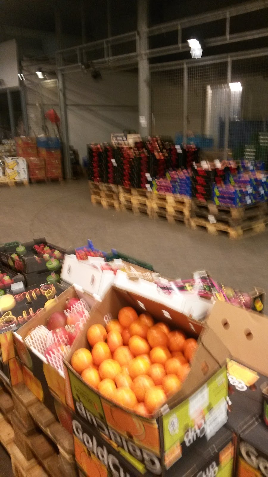 Großmarkthalle Bonn G B R - Bild 9