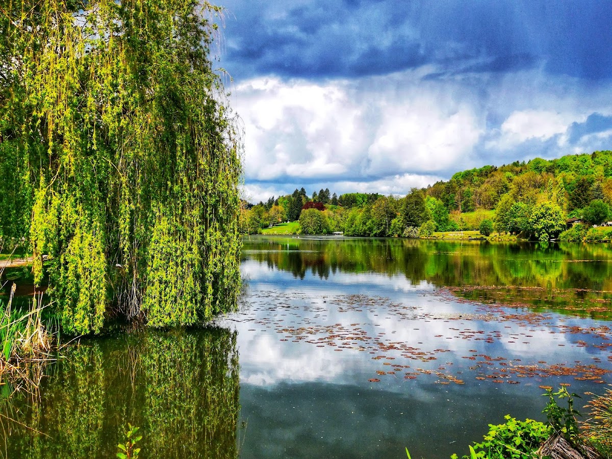 Assweiler Getränke Fachmarkt - Bild 2